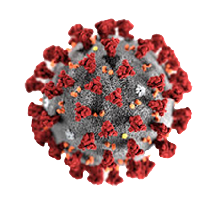 coronavirus huiladesign